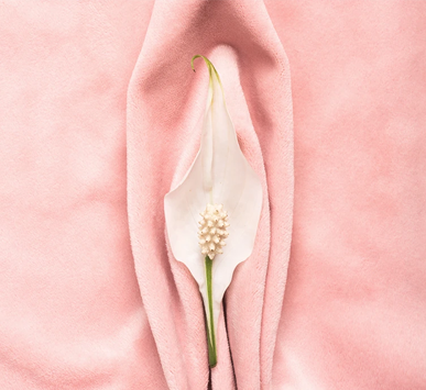 Clitoral Hood Reduction